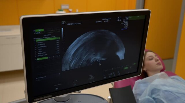 Monitoring the pregnancy of the female patient with ultrasound equipment. Patient pregnancy monitoring at the maternity ward. Monitoring the stomach of the pregnant patient at the clinic. Screen.