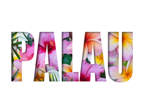 PALAU Floral Typography with Elegant Torn Paper Effect – Transparent PNG