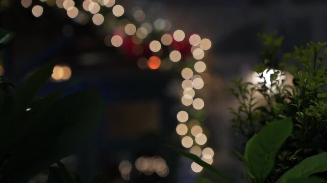 홍콩의 크리스마스, 성탄, 데코, 나무, 공휴일, 공, 장식, celebration, 겨울, 소나무, 가지, 크리스마스 트리, red, 12월, 구면, 년, green, 전나무, 계절, 보케, 라이트, 나이트, 조명