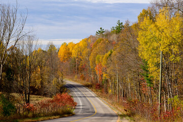 Obraz premium Country road in fall with glorious autumn foliage shot in the Ottawa Valley near the Ottawa River room for text