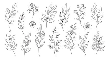 Collection of white line art botanical elements and flowers on black background plant branch