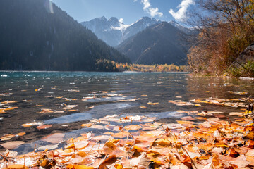 Picturesque mountain lake Issyk in Kazakhstan. Autumn, golden leaves on the clear water. A tranquil natural landscape surrounded by majestic mountains.