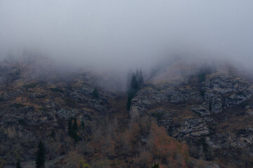 A gloomy and foggy autumn landscape overlooking rocky mountains and a gorge shrouded in thick cloud. Dark, mysterious, and atmospheric.