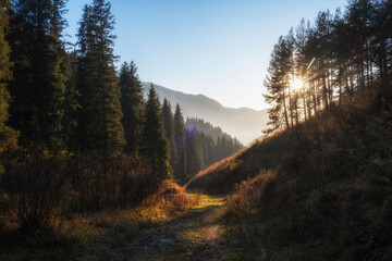 A mountain forest path bathed in morning or evening light. Golden autumn rays of sunlight filter through the trees, illuminating the trail and creating an atmosphere of calm and tranquility.