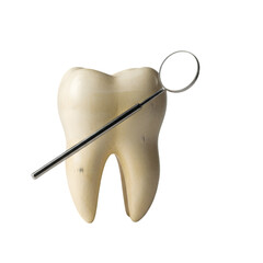 Dental Model with Examination Tool isolated on transparent background