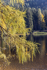 Idyllic lake Oedensee in Bad Mitterndorf, Styria, Austria