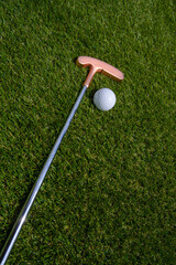 golf mallet on the green, artificial turf