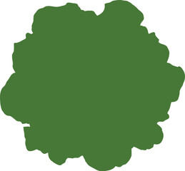 Obraz premium Fresh green lettuce head isolated on black background top view food vegetable
