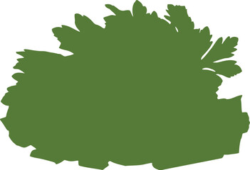 Freshly Chopped Green Celery Pieces with Parsley Leaves Isolated on Black Background vector