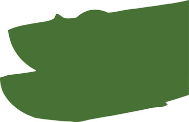 Two fresh green aloe vera slices with water droplet on white background plant