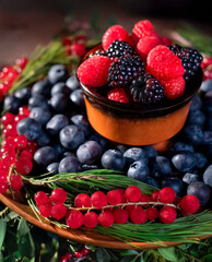 Fresh organic summer berries, including strawberries, raspberries, blueberries, and blackberries, are ripe and sweet in a white bowl