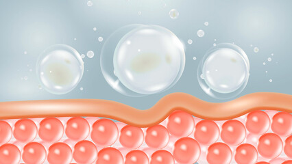 Skin Layers and Active Ingredient Absorption