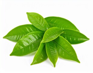 Obraz premium A close up Green tea in white background, hot tea with a view and very aesthetic. Vibrant green tea leaves, showcasing their freshness and potential for a organic products and concept 