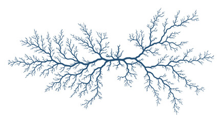 Obraz premium Minimalist Fractal River System Vector, Dendritic Watershed Topology, Clean White Background