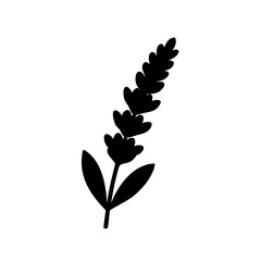 Simple Black Silhouette of a Lavender Flower Stem on a White Background