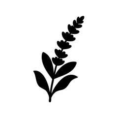 Simple black silhouette of a lavender flower stem with leaves design