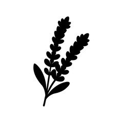 Silhouette Illustration of Lavender Stalks on a White Background Design Element