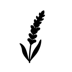 Elegant black silhouette of lavender flower on a white background creating artistic image