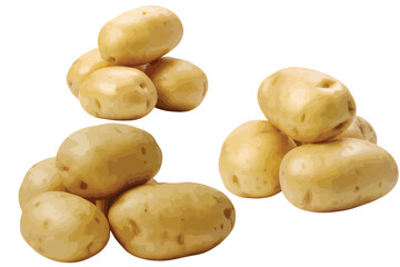 Fresh raw potatoes scattered naturally fresh organic tubers healthy root vegetable ingredient ready for cooking