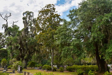 Bonaventure Cemetery in Savannah, Georgia