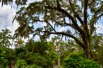 Bonaventure Cemetery in Savannah, Georgia