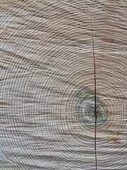 wood texture background