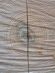 old wood texture