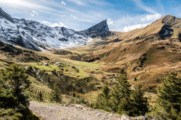 Hochmoor ob Meiringen, Roselauital, Berner Oberland, Schweiz
