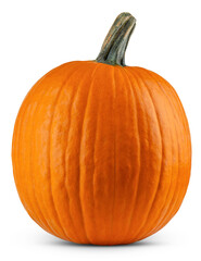 Pumpkin. Orange pumpkin. Large pumpkin good for carving a Jack o Lantern on Halloween. Farm...