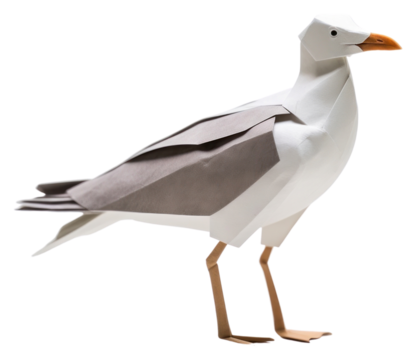 PNG Seagull animal white bird.