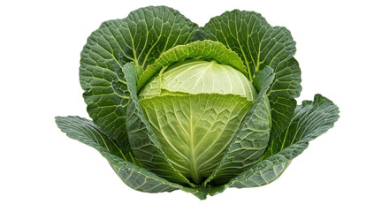 Fototapeta premium Fresh green cabbage with water droplets isolated on black background