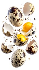 Obraz premium Close-up studio shot of speckled quail eggs, some cracked, with bright yellow yolk