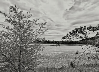melancholic and silent view of the lake shore on a cloudy day
