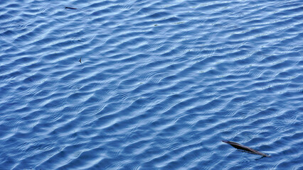 blue water surface