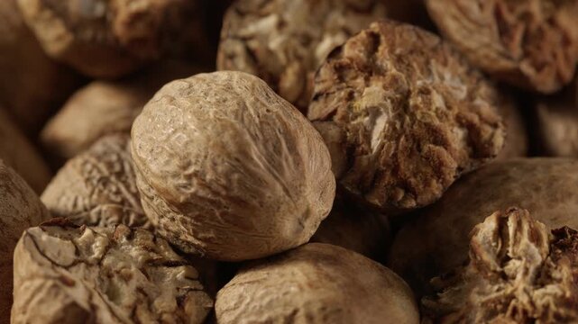 Macro video of raw shea nut texture, showing wrinkles and surface detail, styled for cosmetic skincare ingredient video.