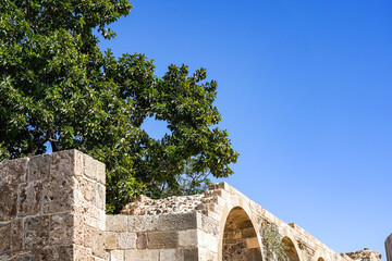 A Beautiful Stone Arc Overgrown with Trees Under a Clear Blue Sky, Highlighting Nature's Return to Ancient Architecture