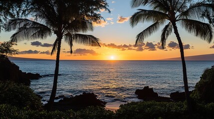 sunset, palm, beach, tree, tropical, sea, sky, ocean, sunrise, island, sun, silhouette, nature, hawaii, 