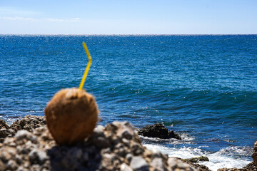 A Refreshing Coconut Drink with a Straw Perched on Rocks Overlooking the Sparkling Blue Ocean Under Bright Clear Skies.