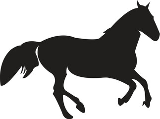 black horse vector illustration