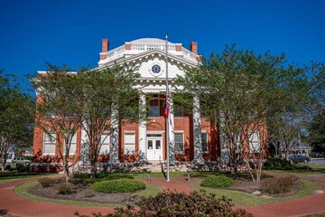 springfield, georgia