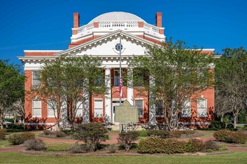 springfield, georgia