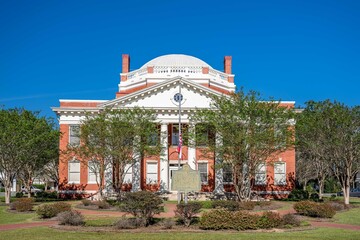 springfield, georgia