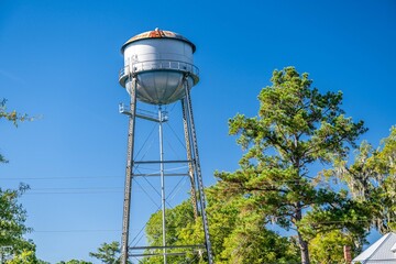 springfield, georgia