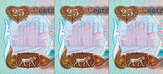 25 Dinars Iraq, banknote 1986 with the image of Martyr Monument and Ishtar Gate. Old money of Iraq.
