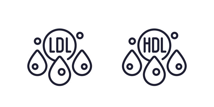 LDL and HDL Cholesterol icons, line vector