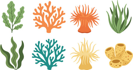Vibrant Coral Reef Ecosystem Elements Illustration: Underwater Seaweed, Corals, and Sponges for Marine Biology Education and Conservation Awareness Projects, Coastal Lifestyle, Colorful Aquatic Enviro