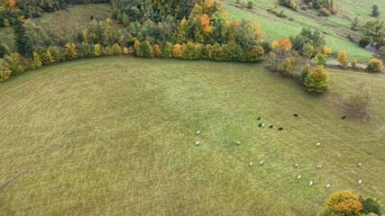 Aerial mountain farms Travna Czechia autumn climb 2. Czech Republic, Czechia historically known as Bohemia. Central Europe. Autumn fall season. Farm rural area landscape. Mountain valley.