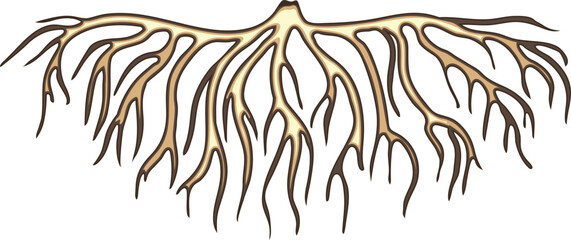 Naklejka premium Root isolated on white background 