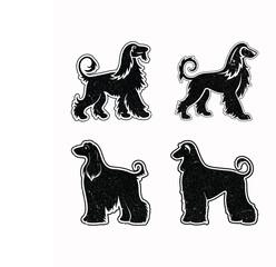 Retro Grunge Afghan Hound Silhouette Vector Dog Illustration.