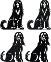 Stylish Afghan Hound Dog Black and White Vector Art.